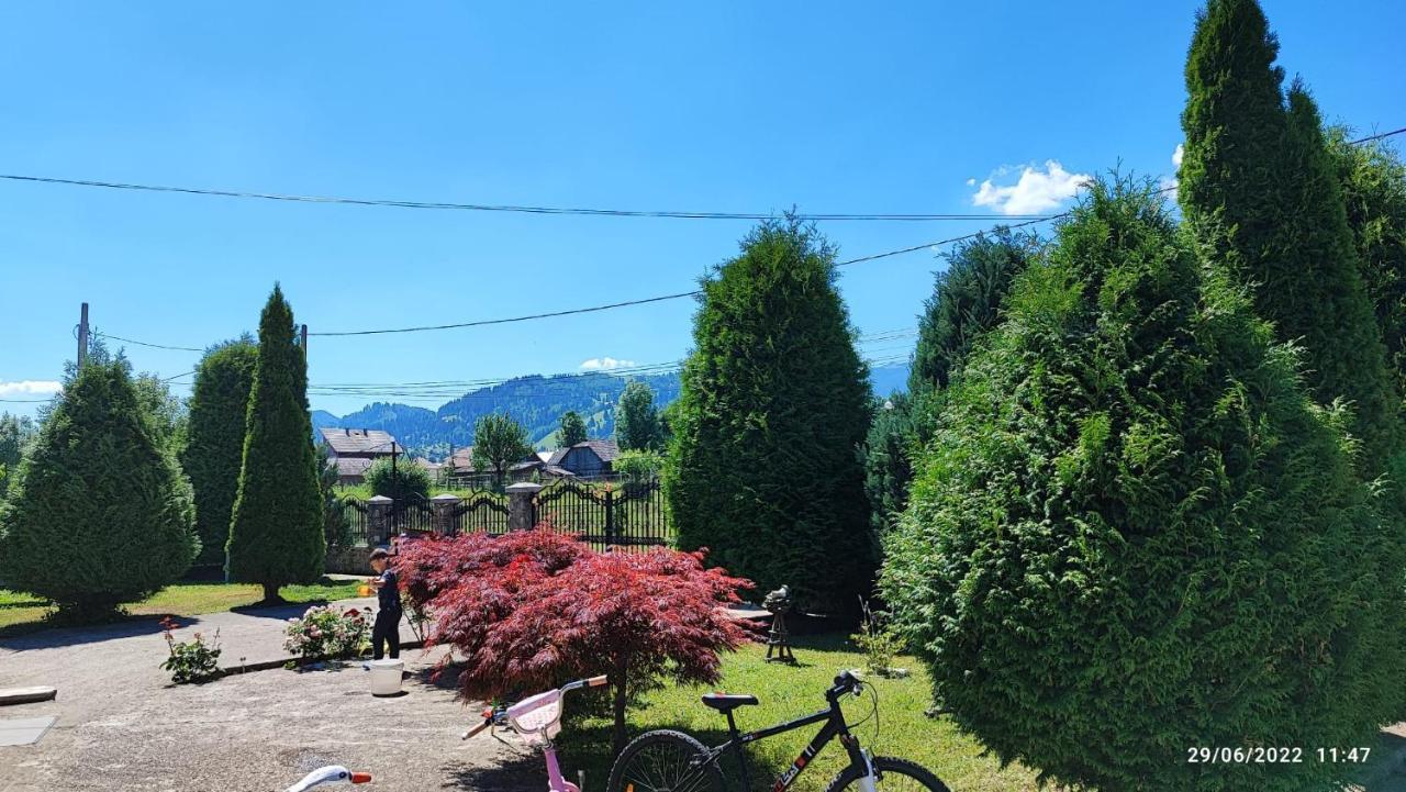 Appartamento Dariamaf Câmpulung Moldovenesc Esterno foto