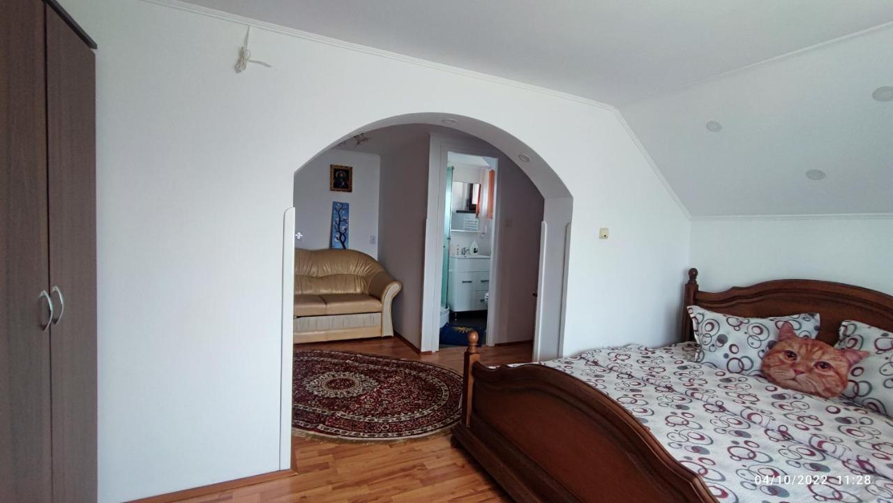 Appartamento Dariamaf Câmpulung Moldovenesc Esterno foto